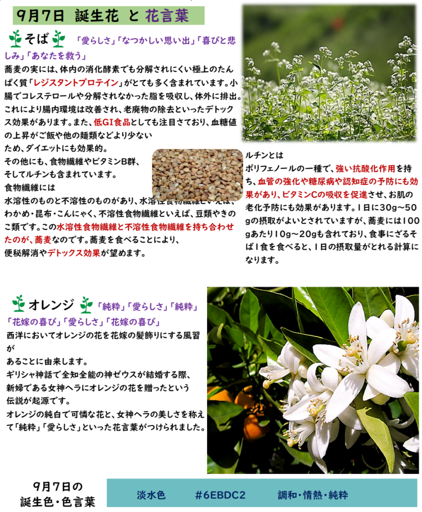 さろん開催報告 久度神社 4 りーべる王寺自治会